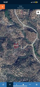 Nisa Gayrimenkul Den Zeytinlık