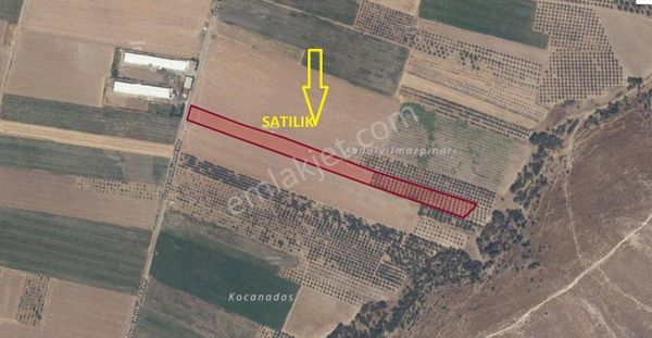 Kayalıoğlu Mah Tarla Ve Zeytinlik (emin'den)