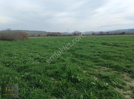 Manisa Yunusemre Yayla Köyünde Satılık 7 Dönüm Tarla