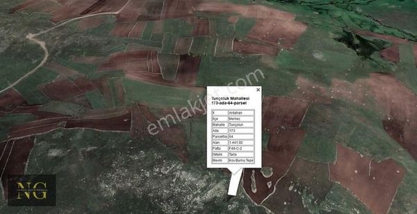 Ardahan - Merkez - Tunçoluk ( Panik ) 1442 M²