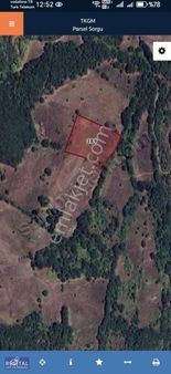 Mustafakemalpaşa Kabulbaba 6700 M2 Uygun Fiyatlı Tek Tapu Tarla