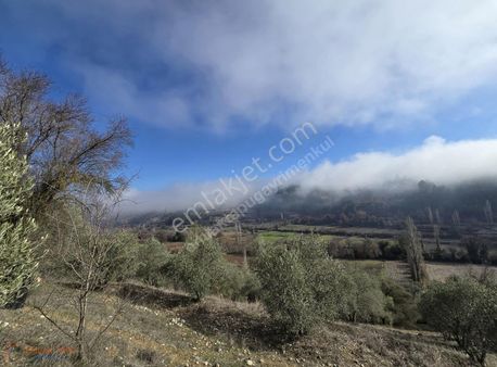 Muğla Menteşe Çamoluk Mahallesinde Satılık 2.159 M2 Tarla