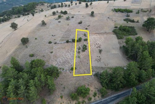 Muğla'nın Harikalarından Akbük Koyuna En Yakın Mah.satılık Tarla