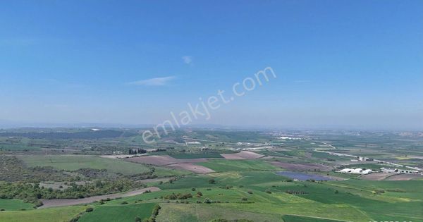 Boğazköy Mahallesinde11.000 M2 Satılık Arsa