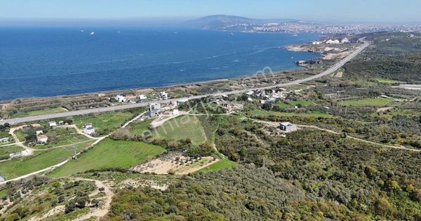 Çalışkanlar'da 4.411 M2 Sarı Alanda, Tek Tapu Satılık Arazi