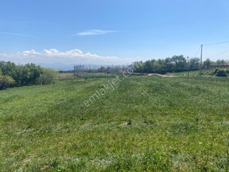 Bayırköy Yatırımlık Satılık Fırsat Tarla
