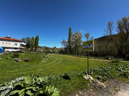 Sinanpaşa Taşoluk 346 M2 Köşe Prsl Orman Manzaralı Villa Arsası