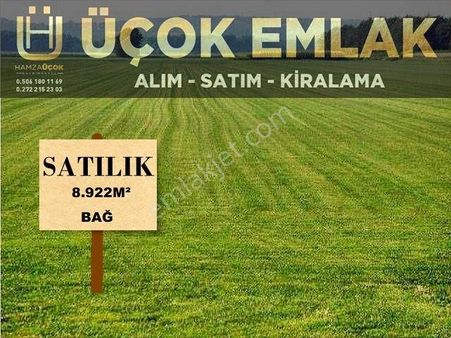 Afyon Üçok Emlaktan Ataköy De Satılık 8.922m² Yatırımlık Bağ