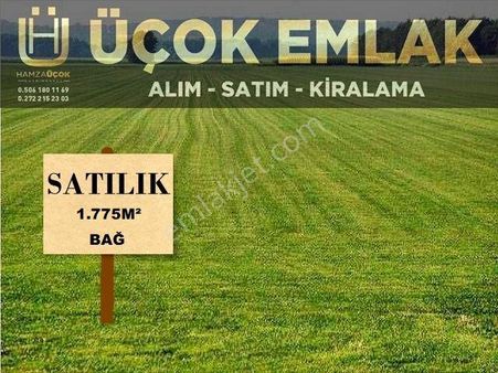 Afyon Üçok Emlaktan Kalecik Yol Üzeri Satılık 1.775m² Bağ