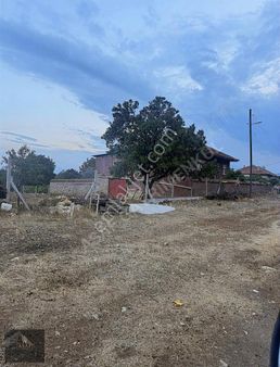 Asaf Gayrimenkul'den Köy İçi Tarla