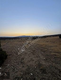 Asaf Gayrimenkul'den Yatırımlık Tarla