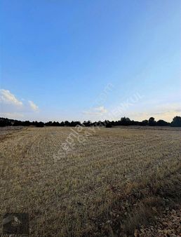 Asaf Gayrimenkul'den Yatırımlık Tarla Köye 200 Metre