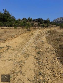 Asaf Gayrimenkul'den Köye 300 Metre Yollu Tarla