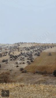 Asaf Gayrimenkul'den Yatırımlık Tarla