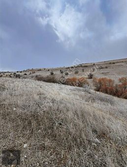 Asaf Gayrimenkul'den Yatırımlık Tarla