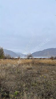 Asaf Gayrimenkul'den Yatırımlık Üzüm Bağ