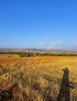 Asaf Gayrimenkul'den Kelepir Hisseli Tarla