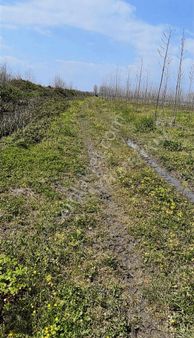 Asaf Gayrimenkul'den Yatırımlık Tarla