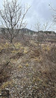 Asaf Gayrimenkul'den Yatırımlık Köye 200 Metre Bağ