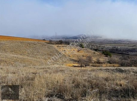 Asaf Gayrimenkul'den Yalvaç Merkeze 3 Km Tarla