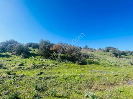 Meşelik'te Küçük Tepede Dubleks İnşaata Uygun Güney Cephe 750 M2 Arsa