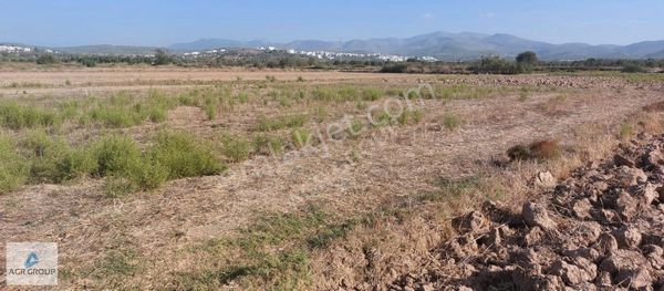 Agr Group'tan Ana Yola Yakın 1213 M2 Satılık Tarla !