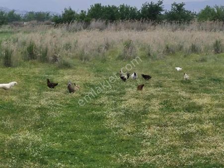 Denizli Sarayköy Cumhuriyette 3200 M2 Bahçemiz Satılıktır