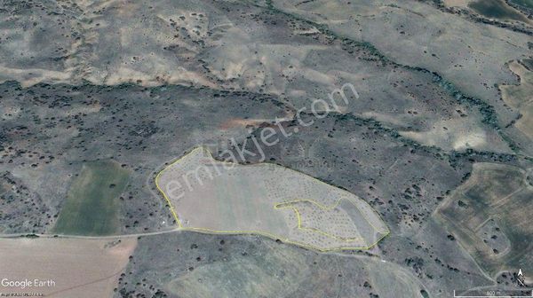 Güvenay - Çorum Örencik De Satılık 32 Dönüm Satılık Tarla