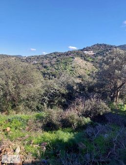 Bitezde Fırsat Konut İmarlı Arsa