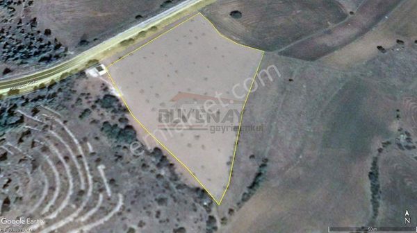 Güvenay - Çorum - Mecitözü Yolu Üzeri 8.500 M² Satılık Tarla