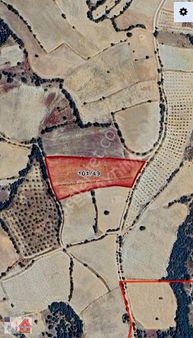 Karagözler Mah 9.4 Dönüm Fırsat Tarla