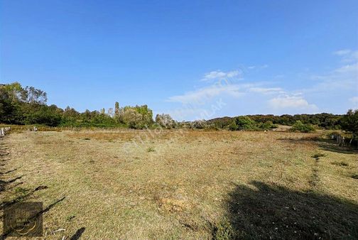 Ulugeçitambarcı'da Satılık Tarla