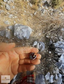 Milas Kayaderesinde 2,5 Dönüm Arazi Tel Çevrili Yolu Mevcuttur