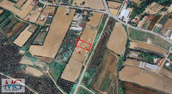 Acil İhtiyaçtan Caddeye Cephe Köy İçerinde İmara Yakın Tarla