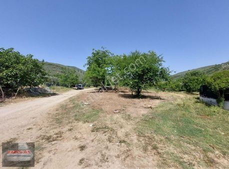 Dayi Emlak'tan İmarlı Yol Kenarı Hobi Bahçesi Takaslı