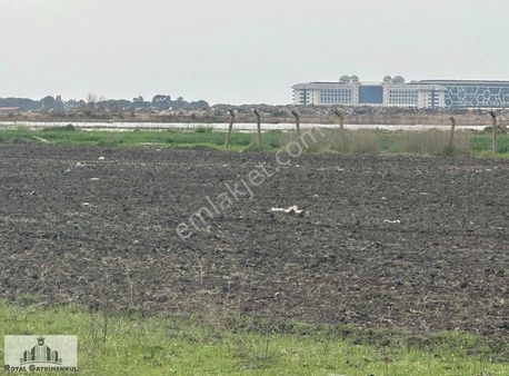 Demirciler De Satılık Tarla