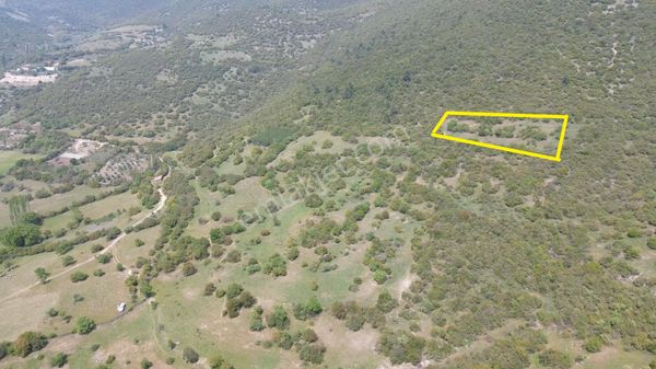 1.368 M2 Bigadiç Doğançamda Yatırımlık Arazi
