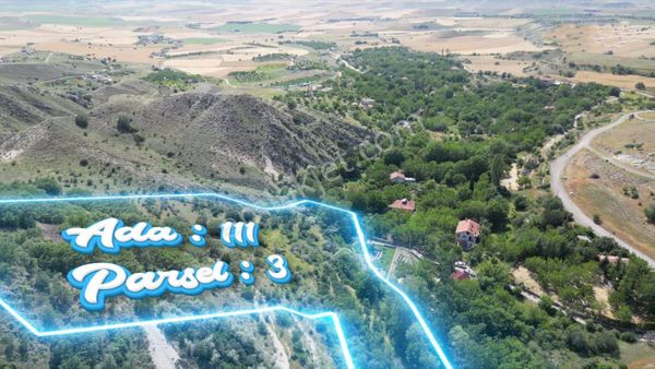 Ayaş Arıklar (11.937 Metrekare) Satılık Bağ