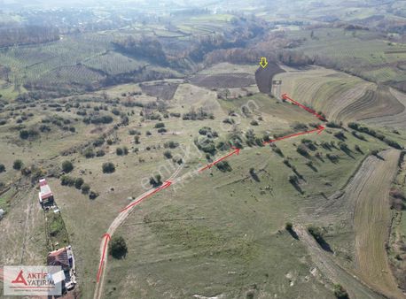 Kandıra'da Çapı Düzgün 867 M2 Satılık Kelepir Tarla