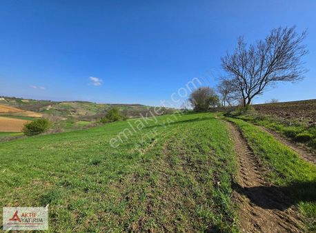 Kandıra Mülküşehsuvar'da 2232 M2 Çapı Düzgün Yola Yakın Tarla