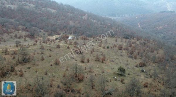 Kırklareli Merkez Düzorman Köyün De Satılık Arsa