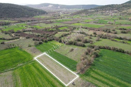 877 M2 Dümdüz Ekilir Biçilir Yola Bir Parsel Tarla