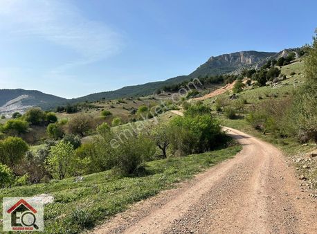 Bilecik Söğüt Tuzaklı Köyünde Satılık Dutluk Ve Zeytinlik