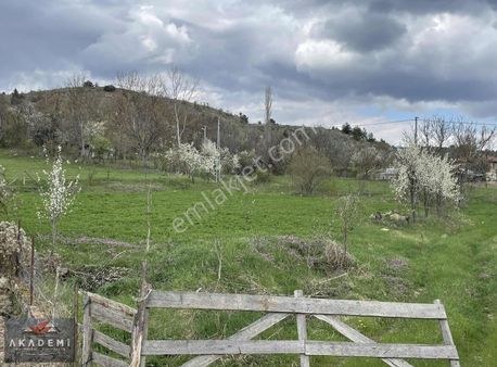 Kasaba Köyü Yerleşik Alanda Satılık 1.615 M2 Bahçe