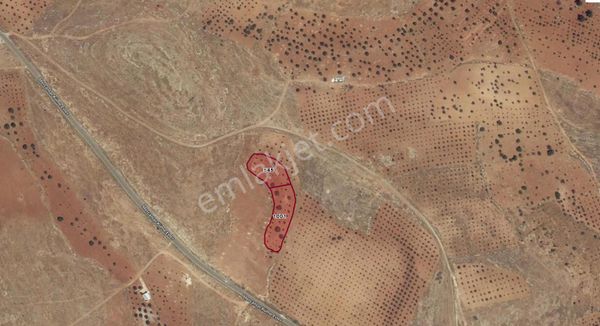 Hanedan Gyo' Dan Direkli'de Satılık Bağ Evilik 2 Parsel Fıstıklık