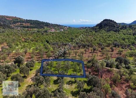 Marinden Palamutbükü'nde İmara Yakın Resmi Yol Olan Arazi