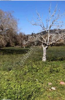 Bodrum İslamhanelerinde Satılık 5.100 M2 Tiçari İmarlı Arsa