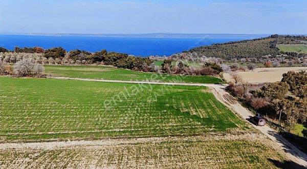 Çanakkale Merkez İntepe Köyünde Satılık Tarla