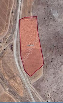 Afyon Saraydüzü Satılık Tarla