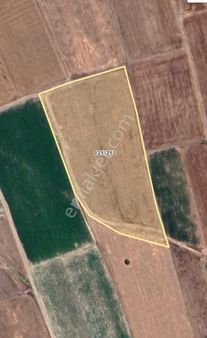 Afyon Saraydüzü Satılık Tarla